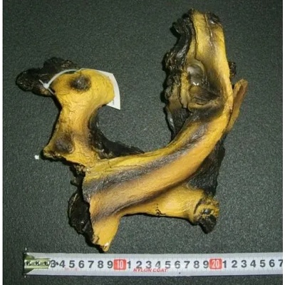 HAILEA - декорация за аквариум смола - корен R8816