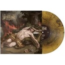 Insomnia - The Voynich Code LP