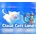 Cloud Cats` Land