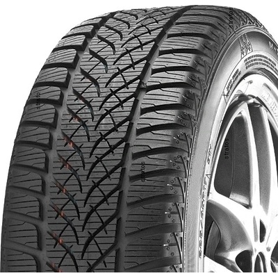 Voyager Winter MS 195/55 R15 85H