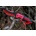 Foxter Magic Red