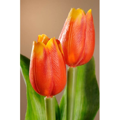 Paramit Umělý tulipán červeno žlutý 40 cm