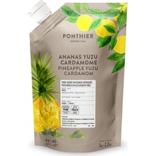 Ponthier Pyré ovocné ananas Yuzu Kardamon 1000 g