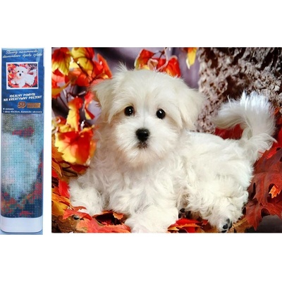 Norimpex - Puzzle Diamant painting: White puppy 30x40cm - 1 - 39 piese