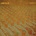 ZION TRAIN: VERSIONS CD