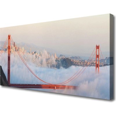 Obraz Canvas Mosty architektúra 100x50 cm