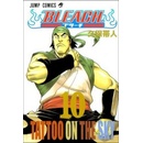Bleach 10