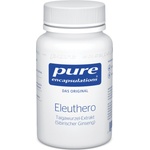 Pure Encapsulations Сибирски женшен - 60 капсули