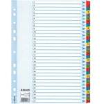 Esselte Binder holders Esselte A4 Mylar cardboard (10K055E)