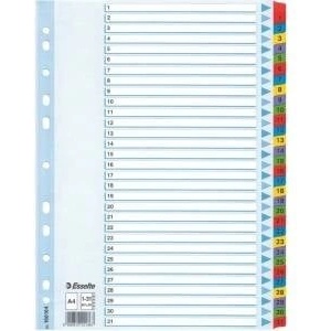 Esselte Binder holders Esselte A4 Mylar cardboard (10K055E)