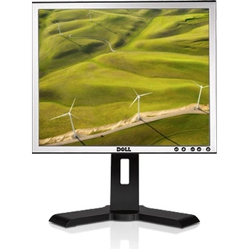 Dell P190S