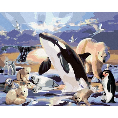 zuty Zvířata v polárním království Howard Robinson 40 x 50 cm vypnuté plátno na 8596530060130