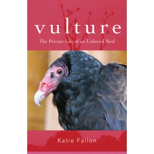 Vulture - The Private Life of an Unloved Bird | Katie Fallon (ISBN: 9781684580330)