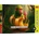 Trefl - Puzzle BrainRots: Chimpanzini Bananini - 200 piese