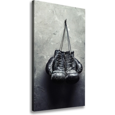 Vertikálny foto obraz na plátne Boxerske rukavice 50x100 cm