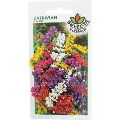 Limonka chobotnatá mix: Limonium Sinuatum 0,5 g