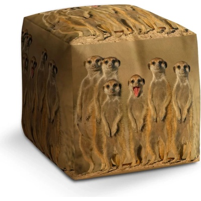 Sablio Taburet Cube Surikaty: 40x40x40 cm