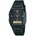 Casio AW-48HE-1A