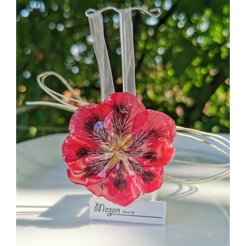 Meganflo Цикламена налба - триизмерна