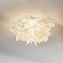 SLAMP VEL78PLF0001FG000