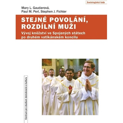 Stejné povolání, rozdílní muži - Stephen J. Fichter, Mary L. Gautierová, Paul M. Perl