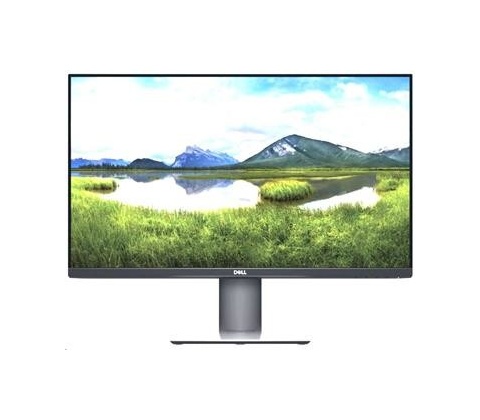 Dell P2419H