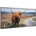 Klarstein Wonderwall Air Art Smart (HTR10-WAASm700WCow B/10037923)