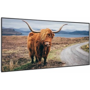 Klarstein Wonderwall Air Art Smart (HTR10-WAASm700WCow B/10037923)