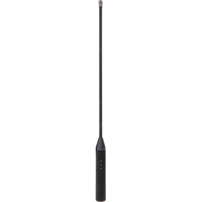 Hidden Desire Електрошокова пръчка