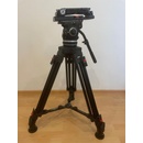 Cartoni Focus 18