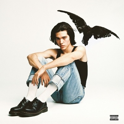 Conan Gray - Kid Krow (Smoky Gray Coloured) (LP) (0602508624780)