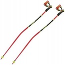 LEKI WCR TBS GS 3D 2024/25