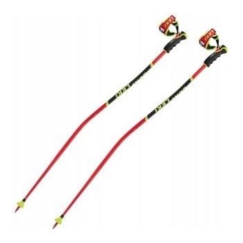 LEKI WCR TBS GS 3D 2024/25