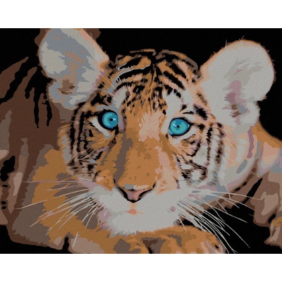 zuty Malování podle čísel Tygřík modroočko 100 x 80 cm bez rámu a bez vypnutí plátna