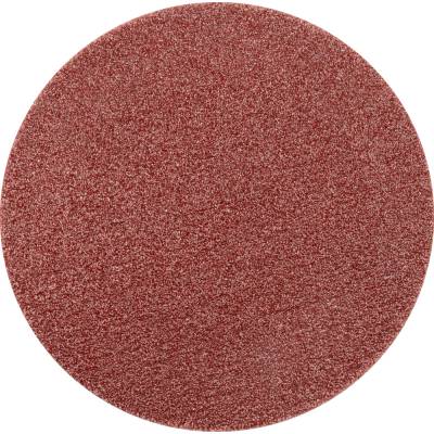 Pferd 42832218 | PSA-Discs 30 A 180
