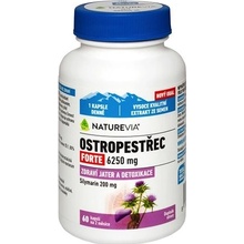 Swiss Pestrec mariánsky Forte 6250 mg 60 kapsúl