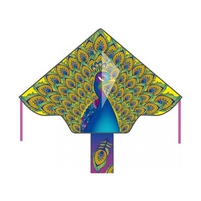 Invento drak Simple Flyer Peacock