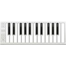 ESI Xkey 25