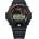 Casio DW-6900RL-1