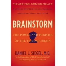 Brainstorm