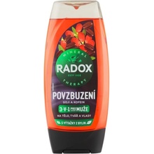 Radox Men Invigorating sprchový gél pre mužov 3v1 225 ml