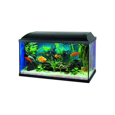 Cat Gato Pacific LED akvarijní set 15W/E27 60 x 30 x 30 cm, 54 l