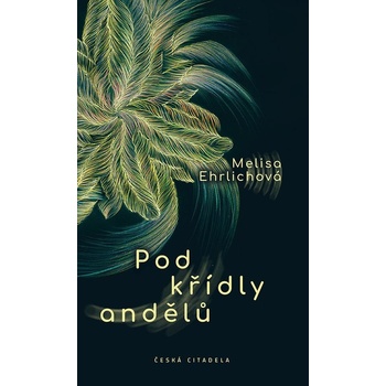 Pod křídly andělů