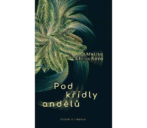Pod křídly andělů