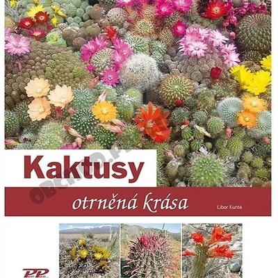 Kaktusy - otrněná krása