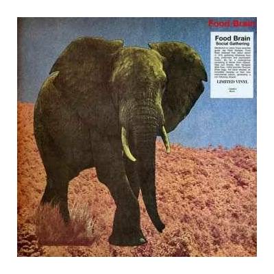 Food Brain - Social Gathering LP