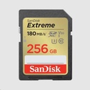 SanDisk SDXC UHS-I U3 512 GB SDSDXWV-512G-GNCIN