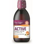 Natural Factors Sea-Licious® Active Omega-3 with Vitamin D3 & MCT Oil - Омега-3 + витамин D3 и МСТ, 250 ml Natural Factors (3124 (SL6075) NF)