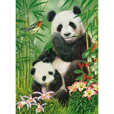 Castorland - Puzzle Panda Brunch - 300 piese