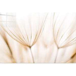 Wallity Картина върху стъкло 100x70 cm Fluff - Wallity (403MGN2669)